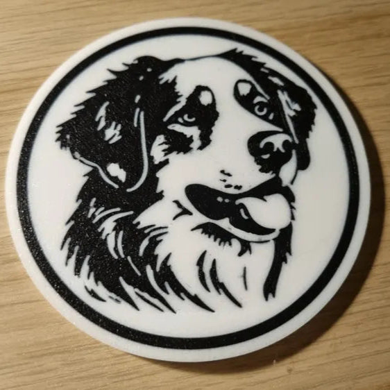 x4 Dog Coaster Set & Holder