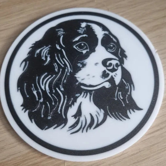 x4 Dog Coaster Set & Holder