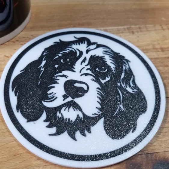 x4 Dog Coaster Set & Holder