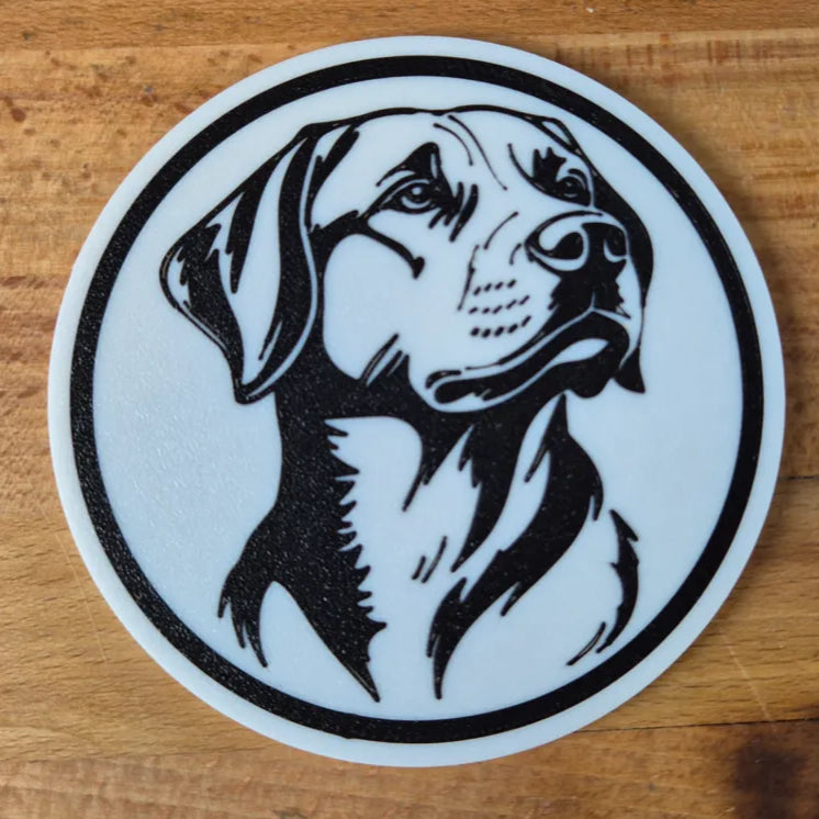 x4 Dog Coaster Set & Holder