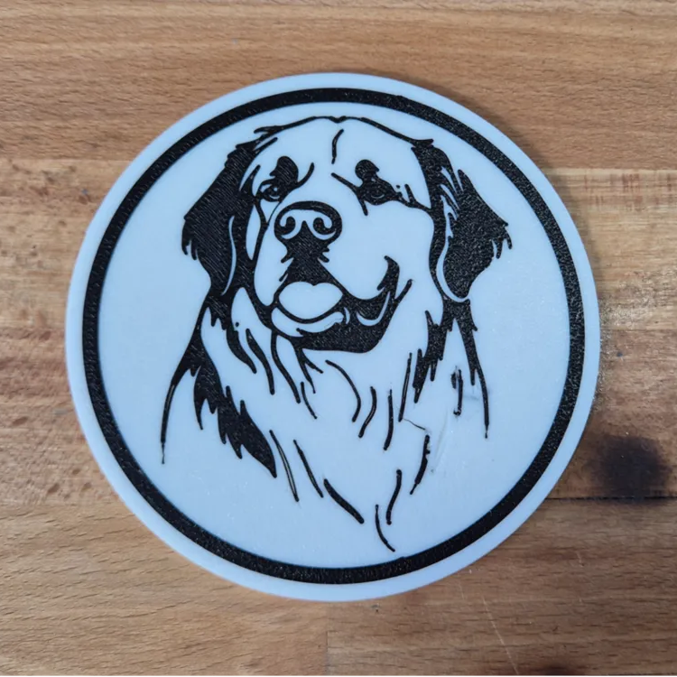 x4 Dog Coaster Set & Holder