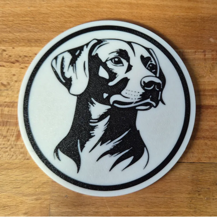 x4 Dog Coaster Set & Holder