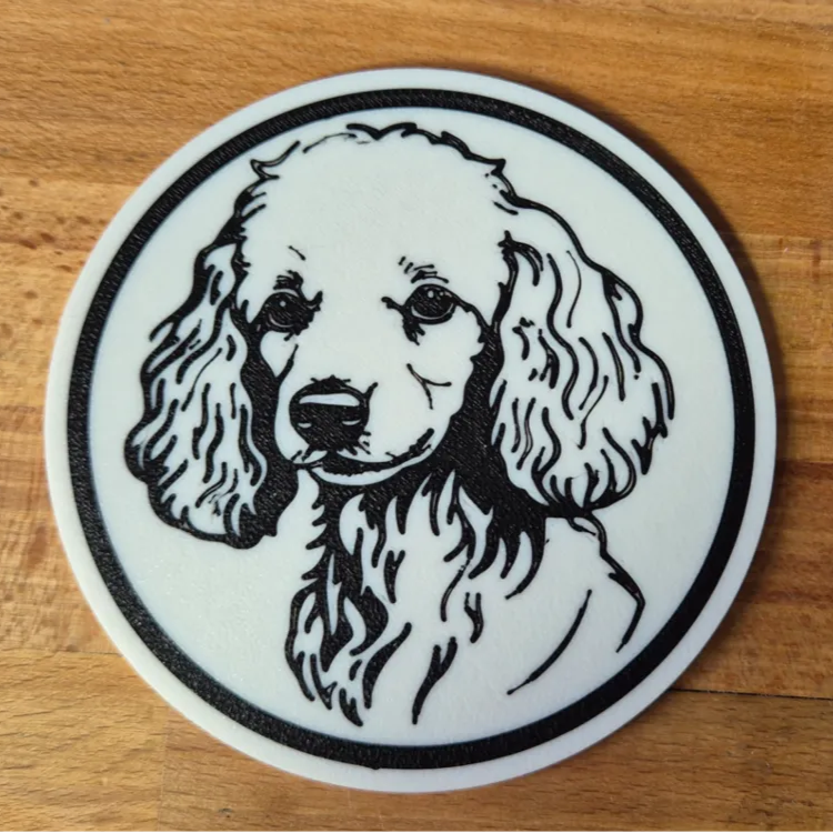 x4 Dog Coaster Set & Holder