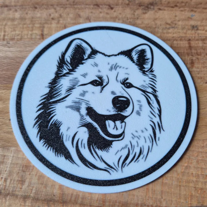 x4 Dog Coaster Set & Holder