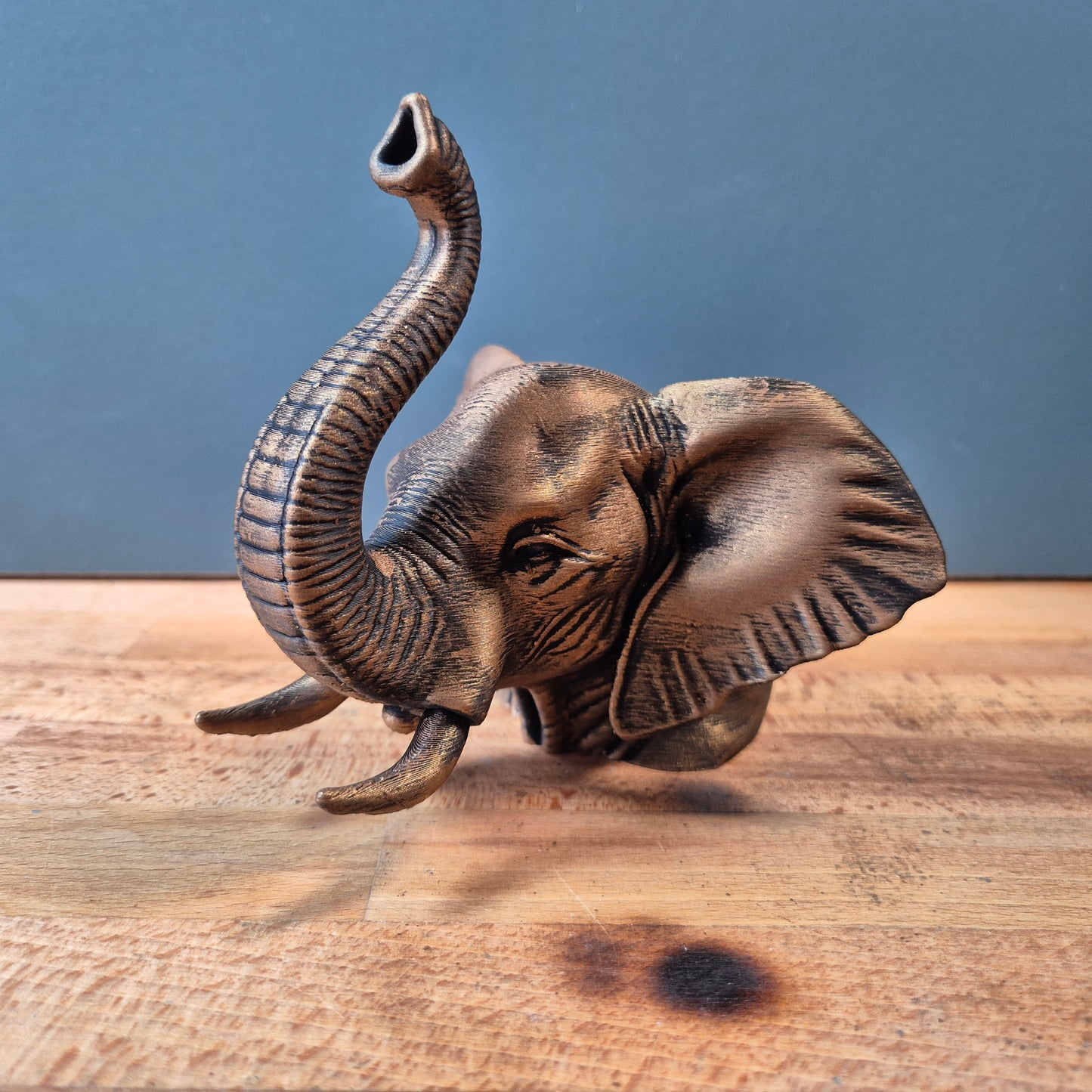 African Elephant Bust