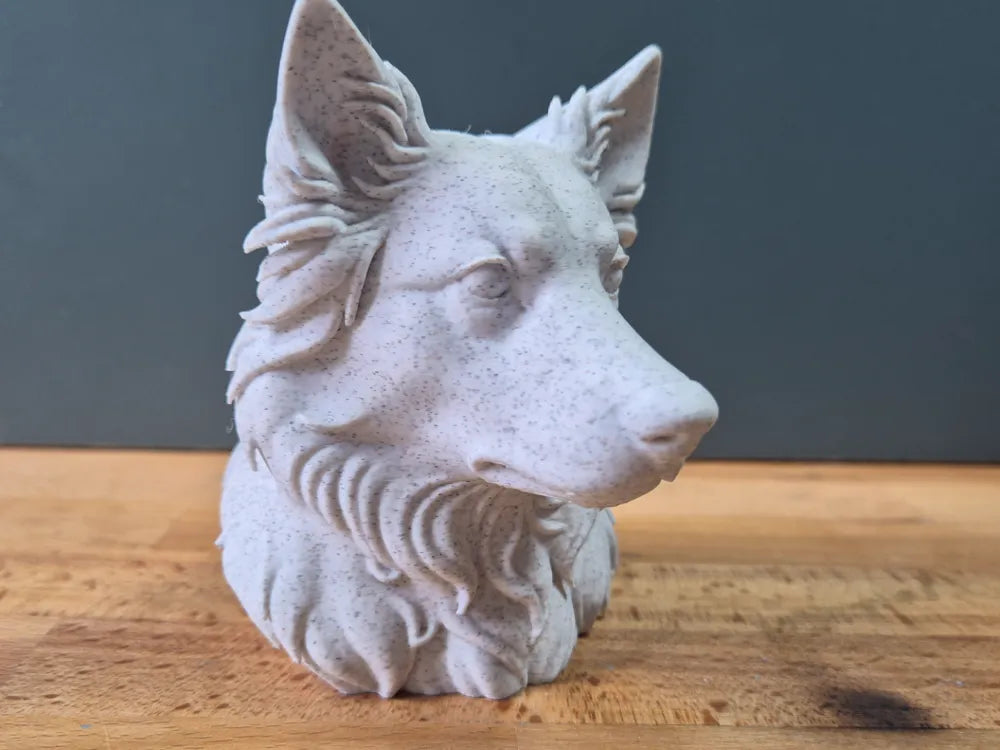 Australian Shepherd Bust
