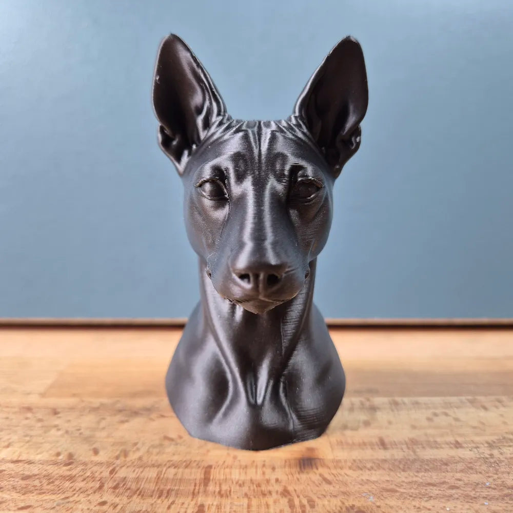 Basenji Bust