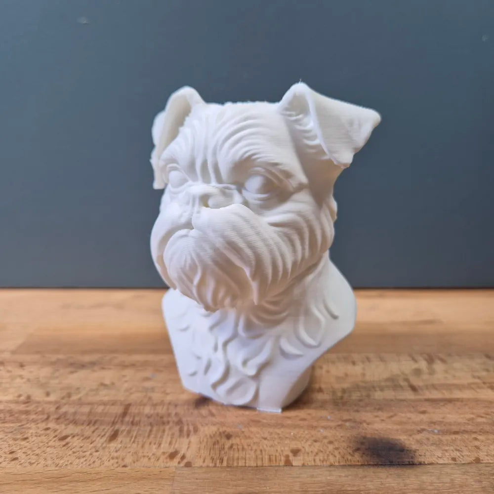 Brussels Griffon Bust