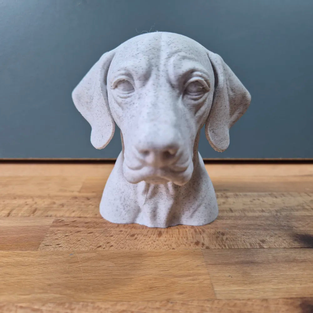 English Pointer Bust