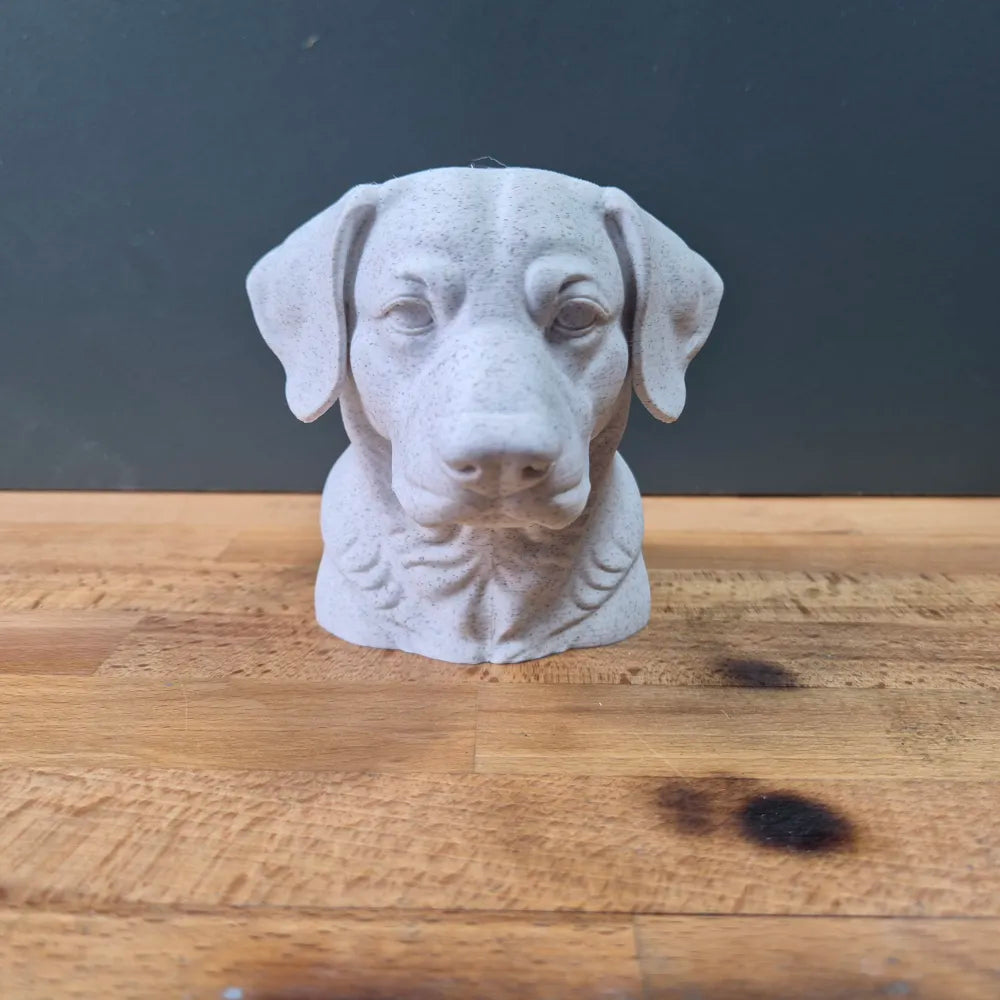 Entlebucher Mountain Dog Bust