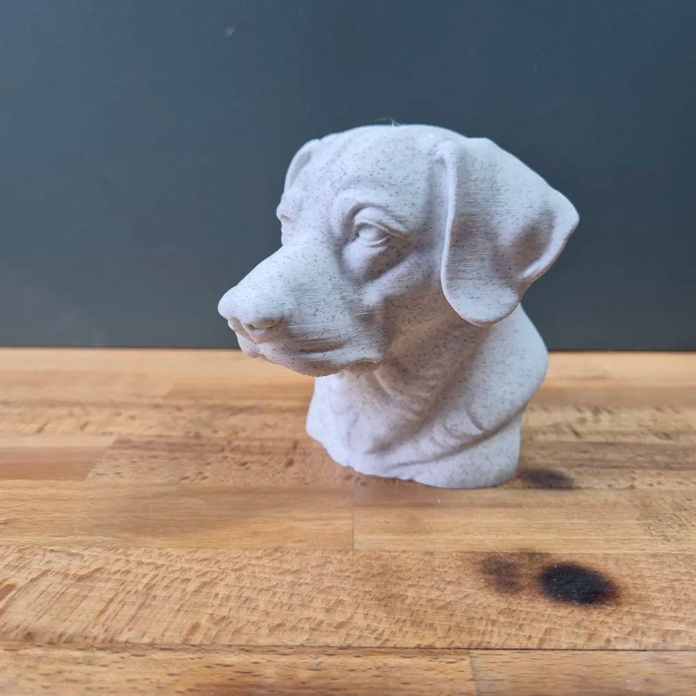 Entlebucher Mountain Dog Bust