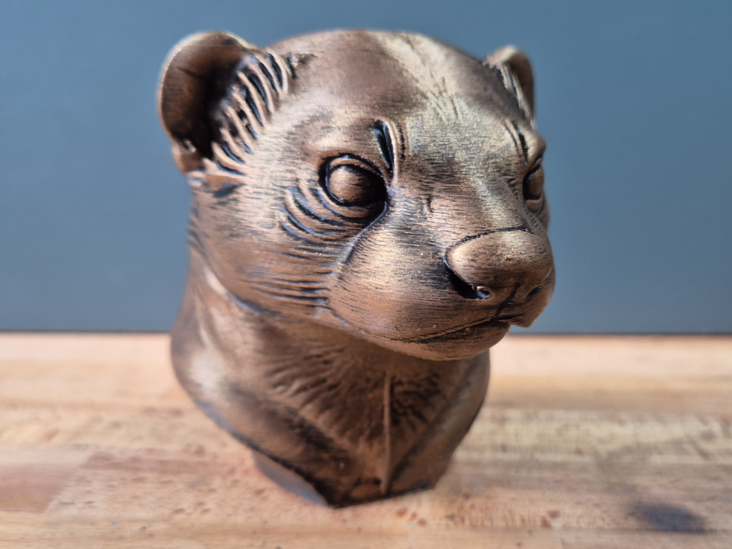 Ferret Bust