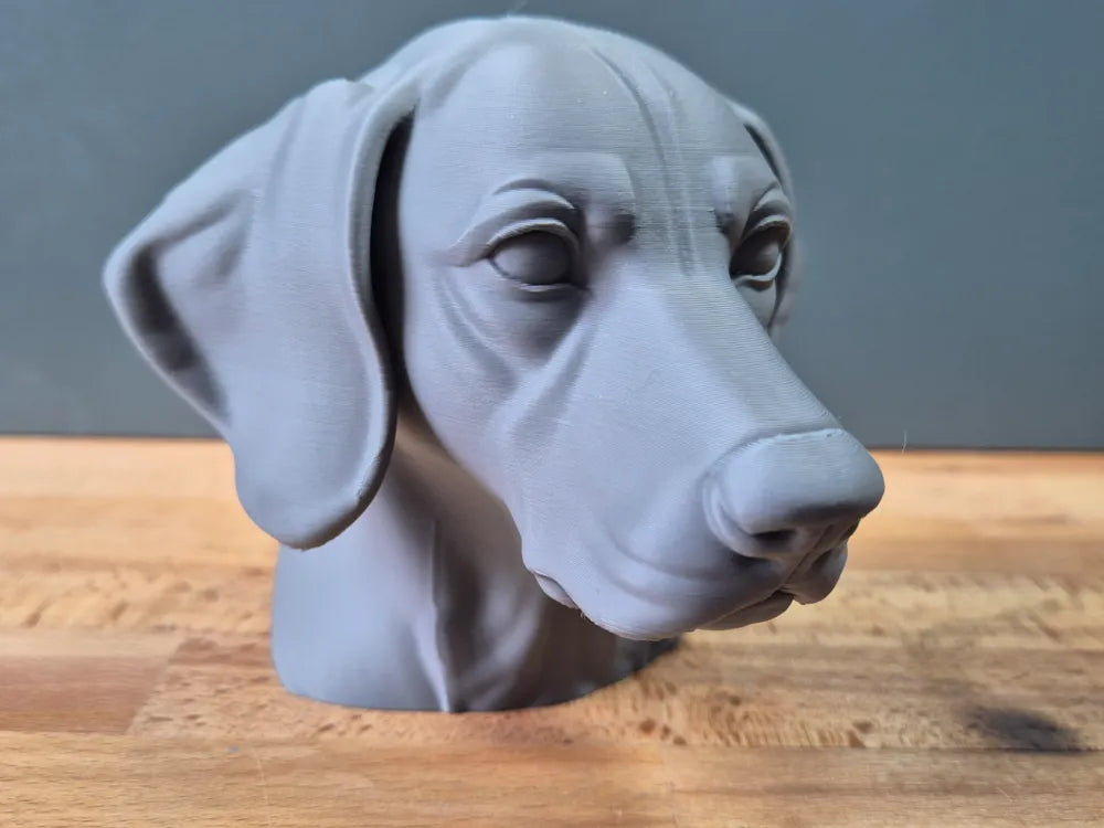 German Shorthaired Pointer Bust