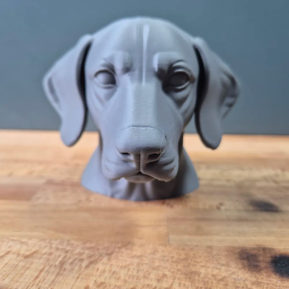 German Shorthaired Pointer Bust
