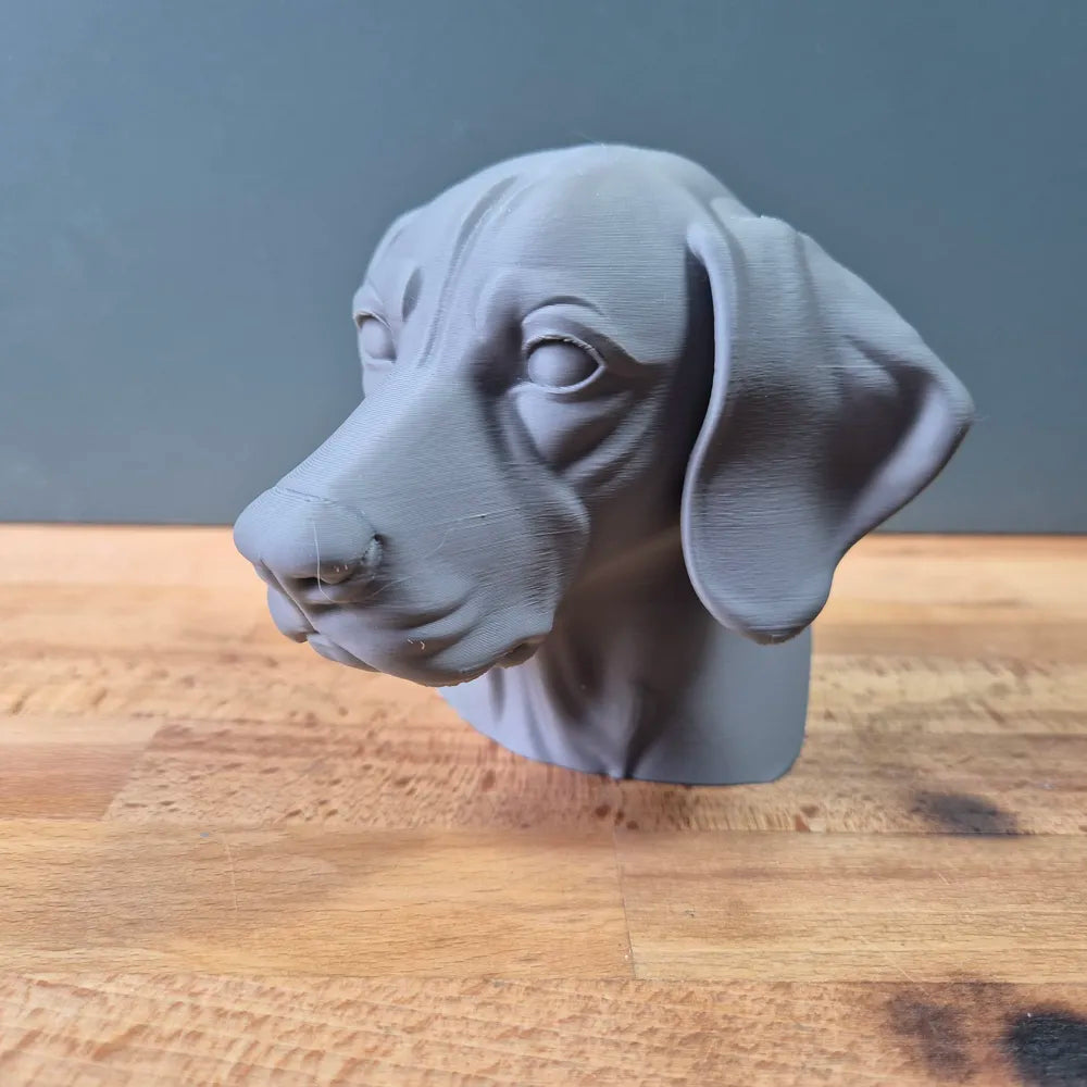 German Shorthaired Pointer Bust
