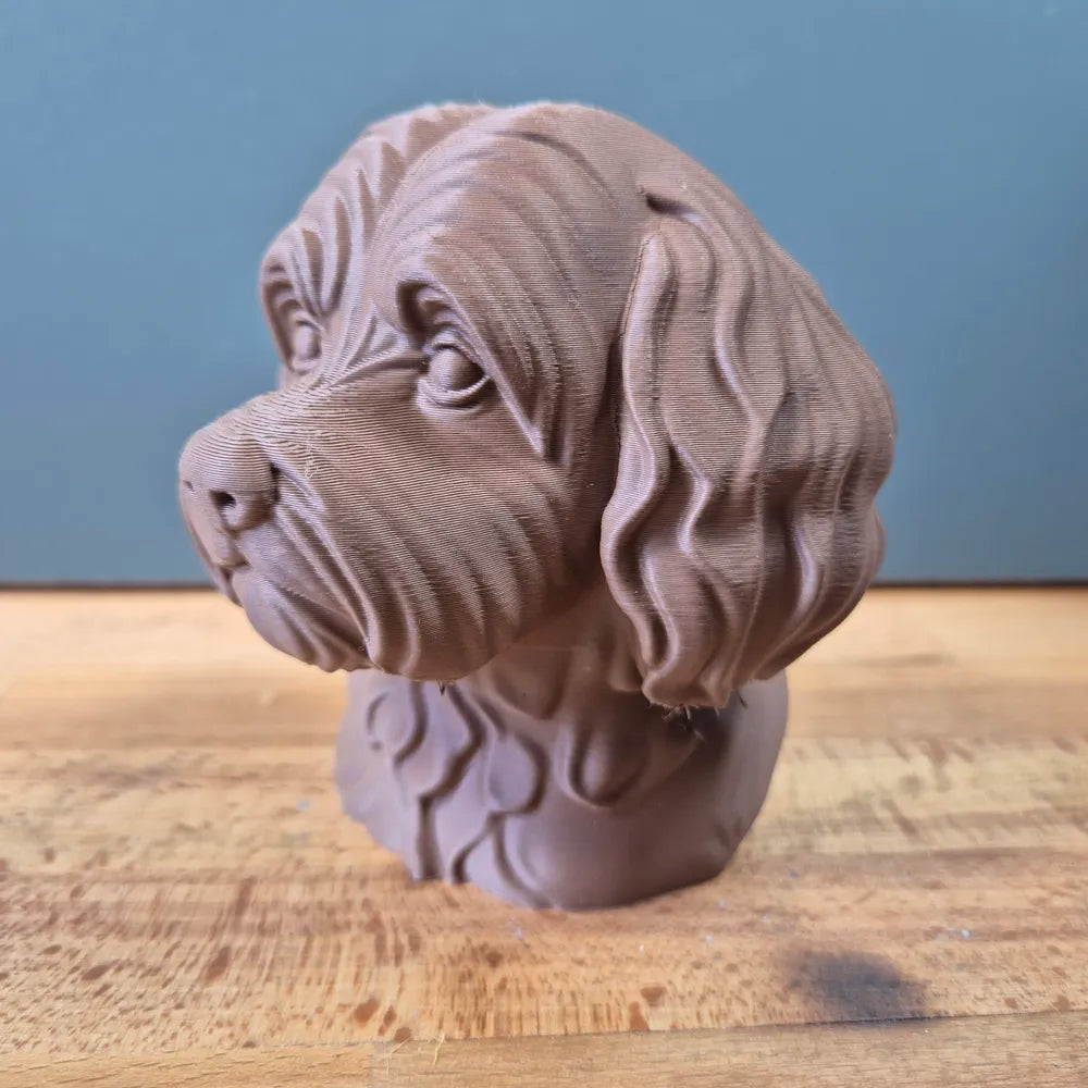 Havanese Bust