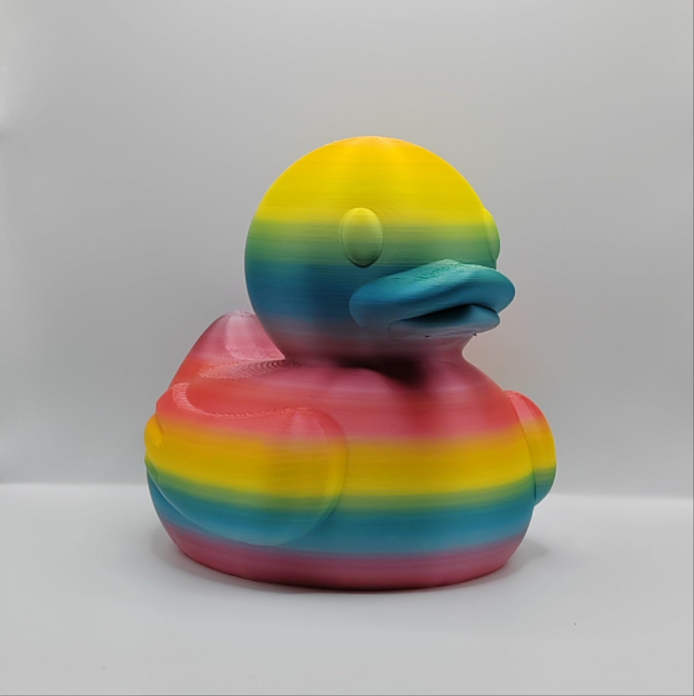 Rainbow Ducks