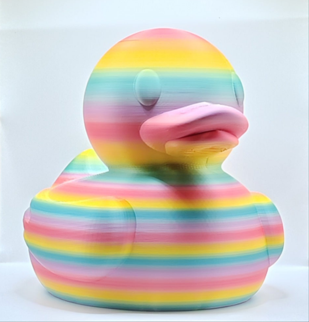 Rainbow Ducks