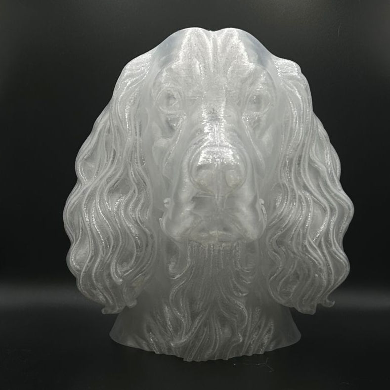 Springer Spaniel Bust