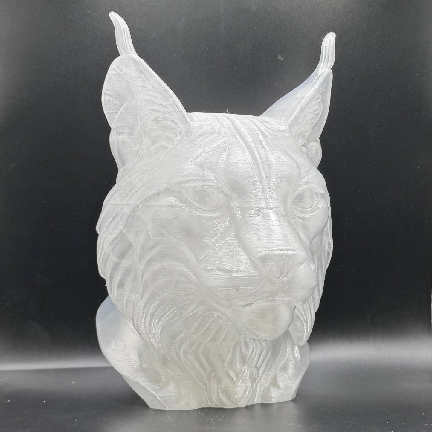 Blank Animal Heads (UNPAINTED)