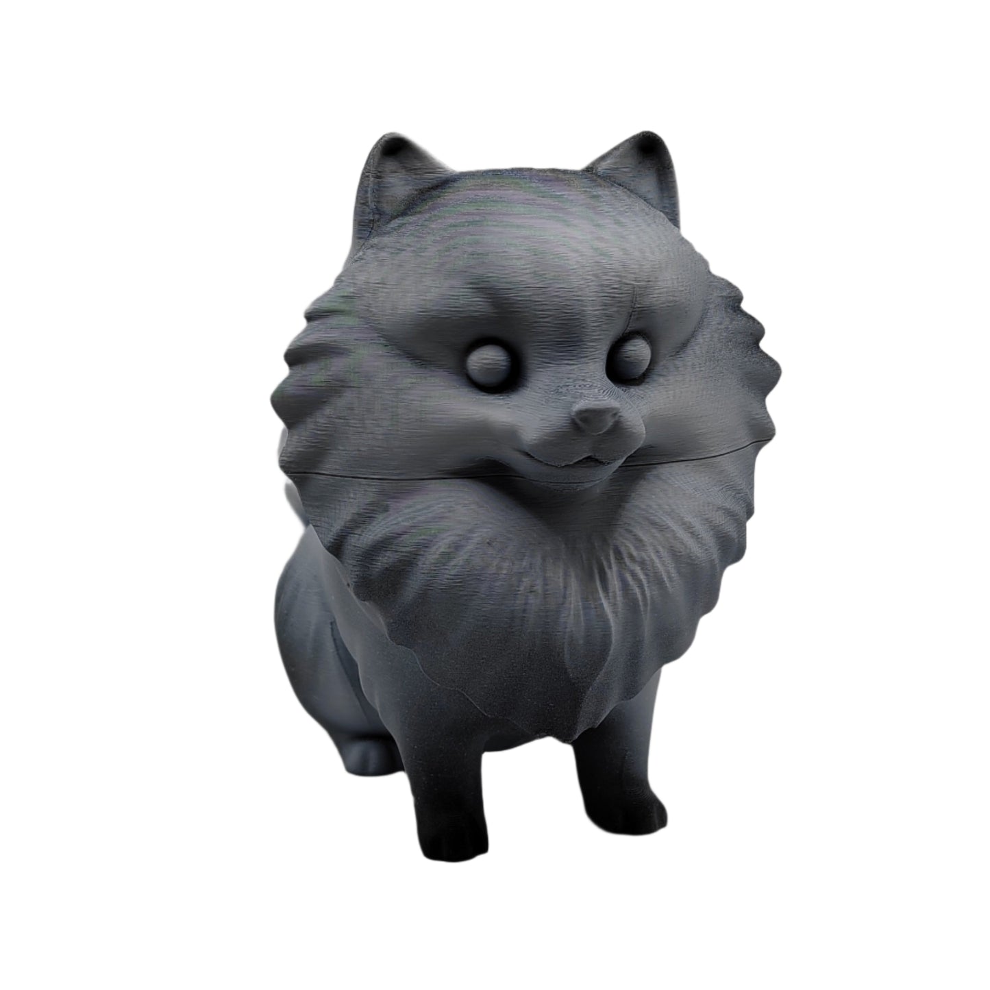 Pomeranian
