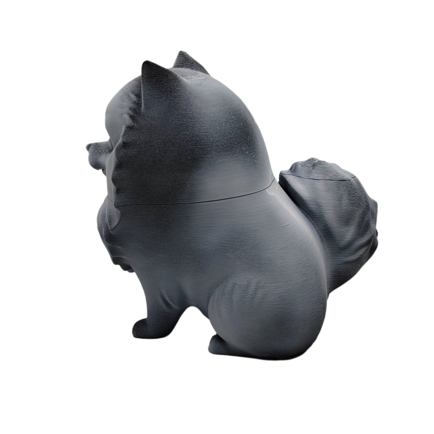 Pomeranian