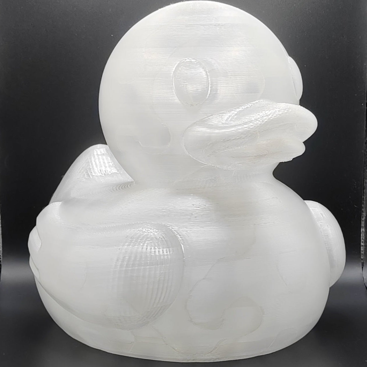 Blank Ducks