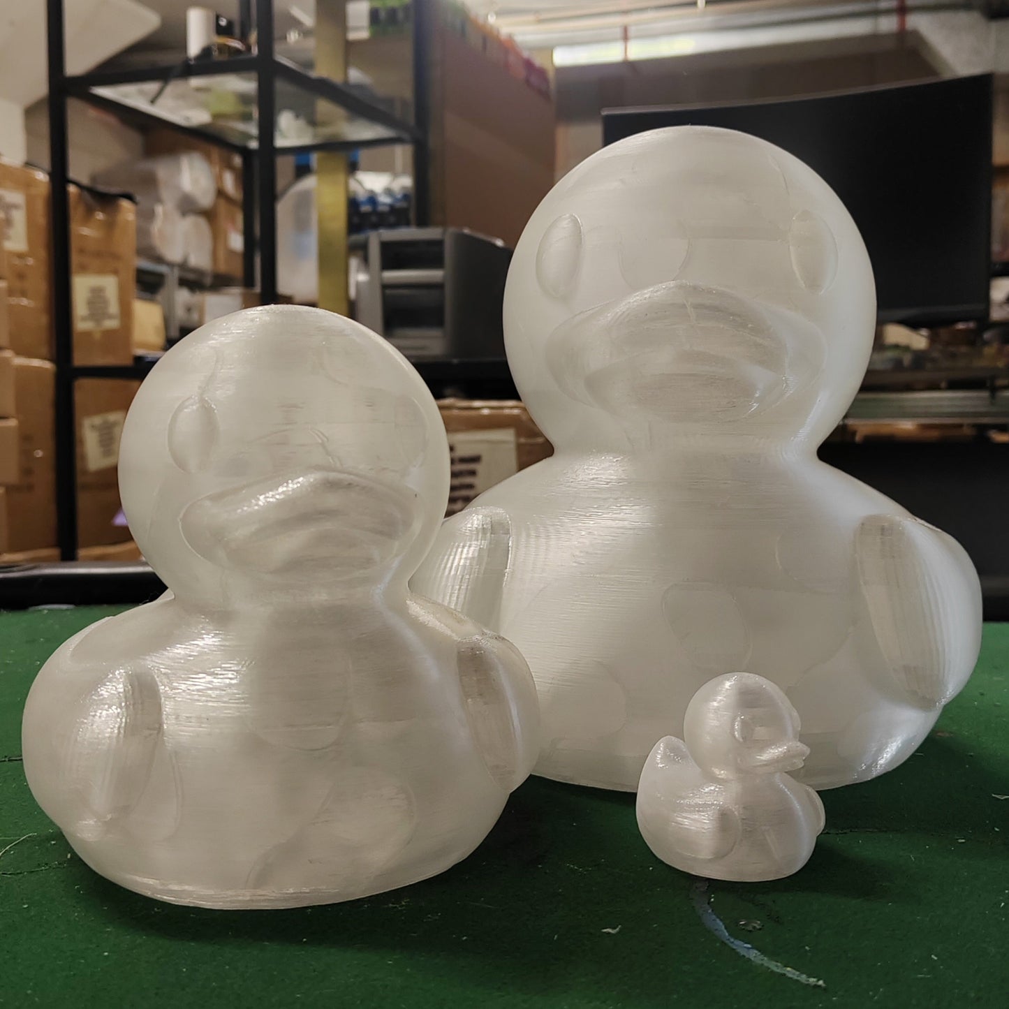 Blank Ducks