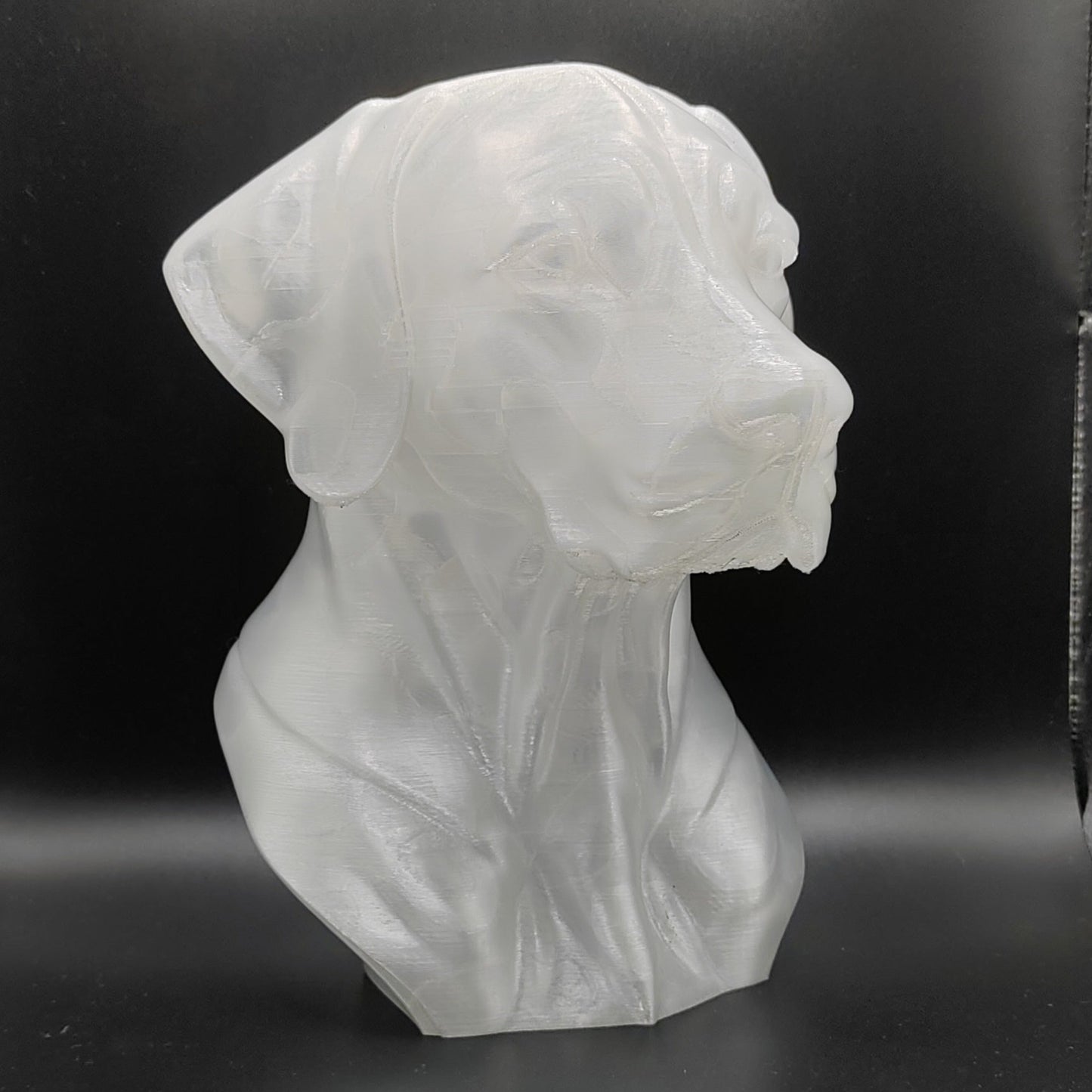 Rhodesian Ridgeback Bust