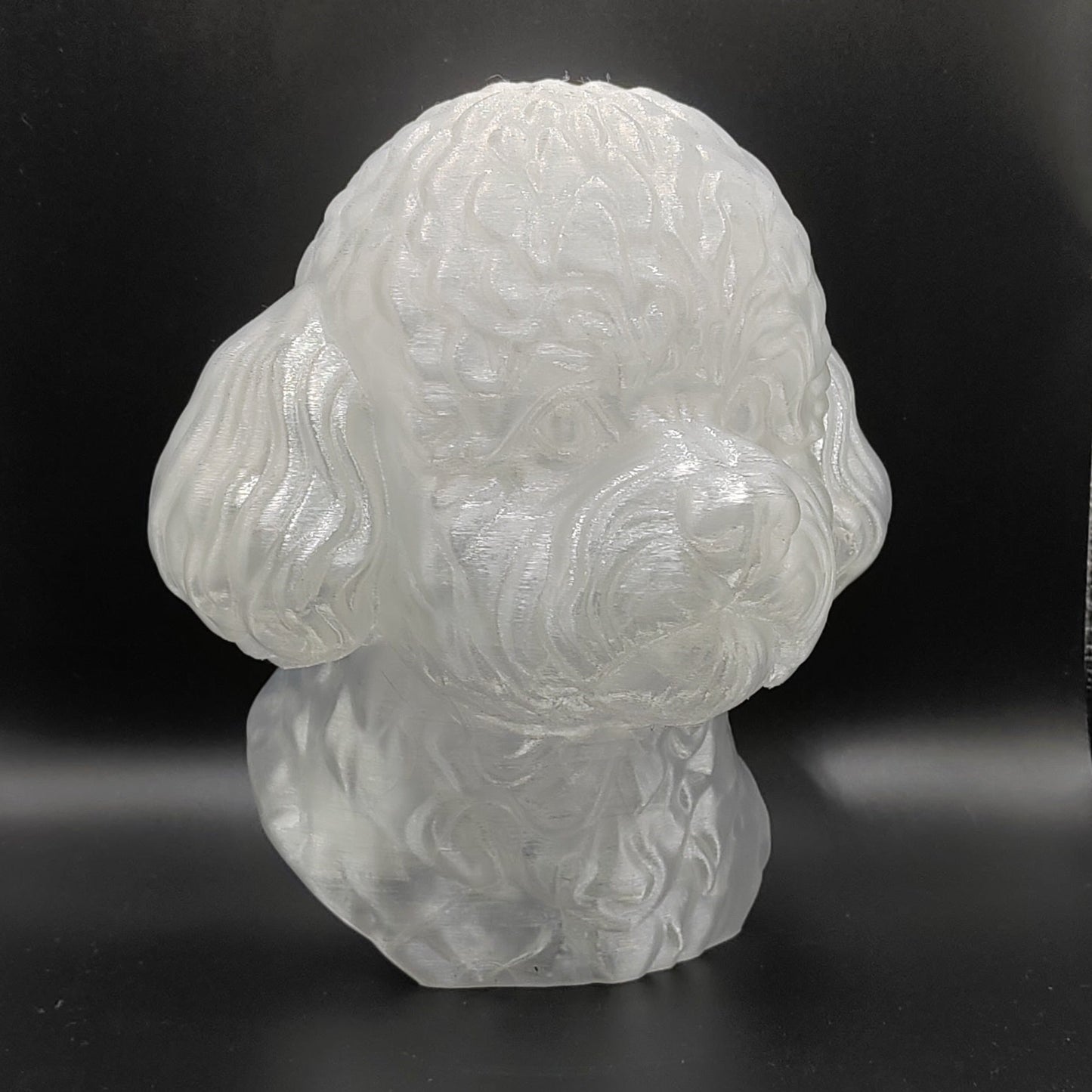 Bichon Frise Bust