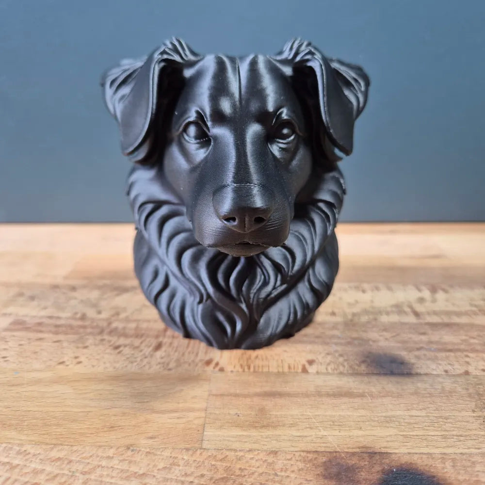Miniature American Shepherd Bust