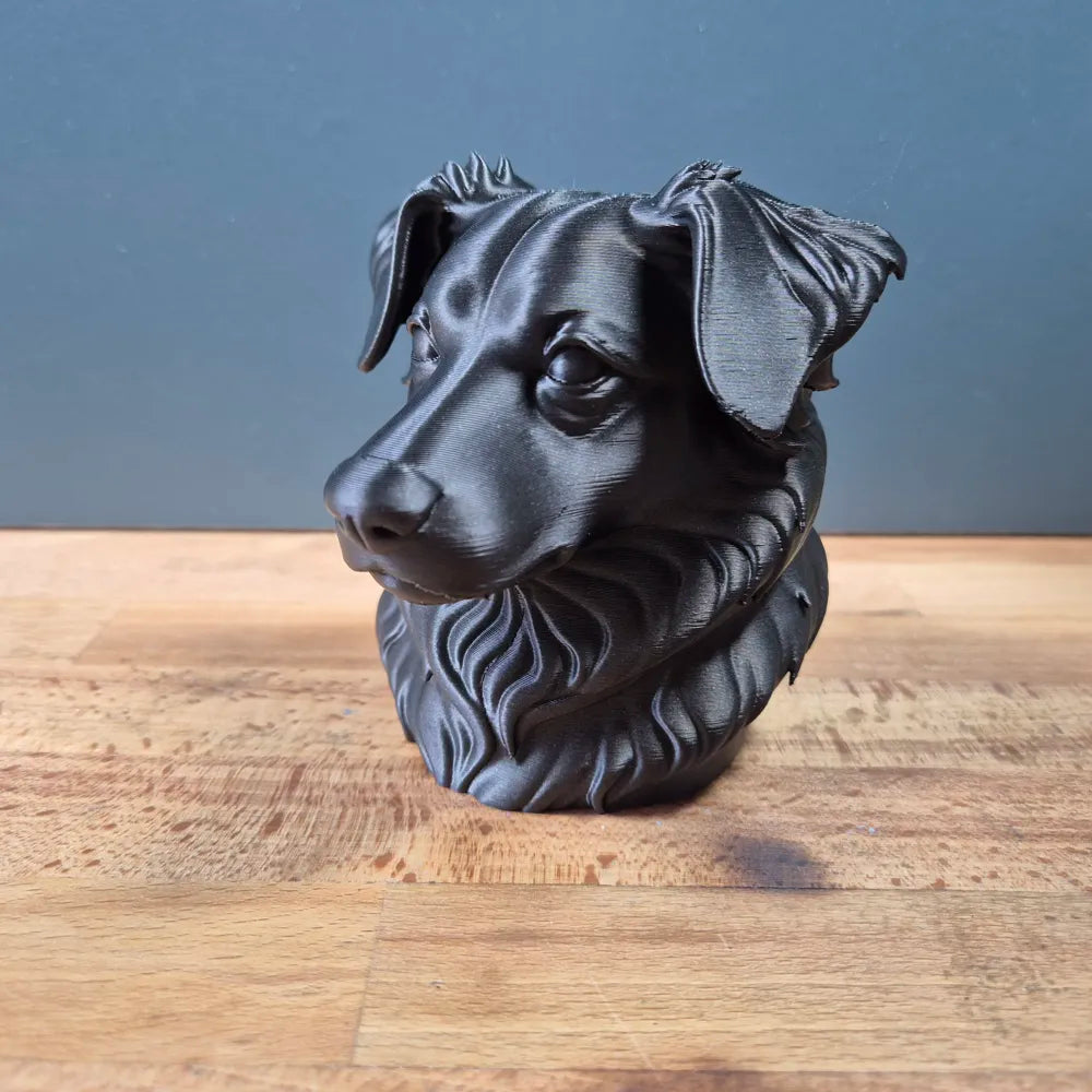 Miniature American Shepherd Bust