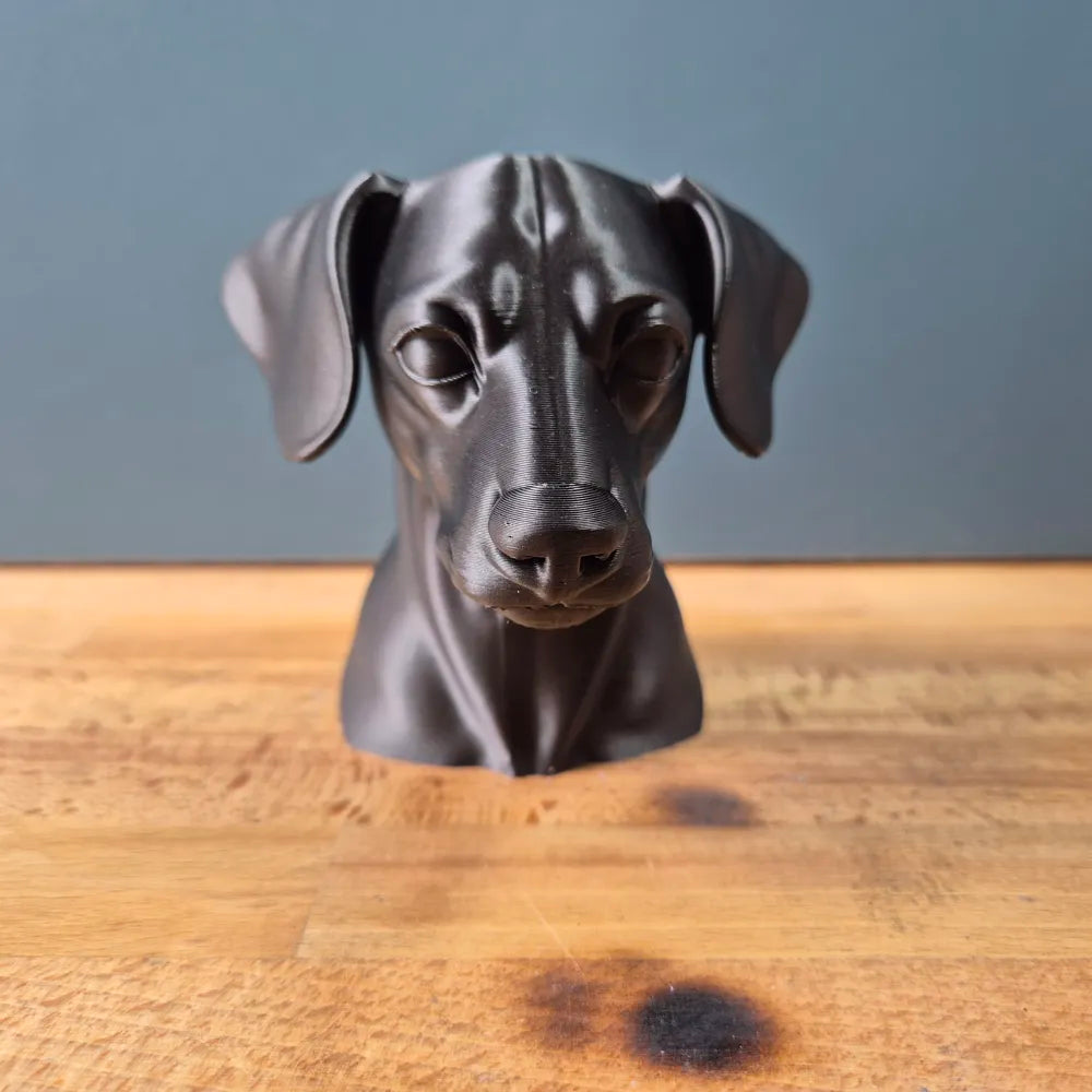 Miniature Pinscher Bust