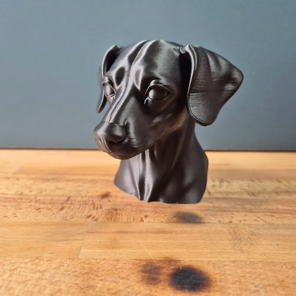Miniature Pinscher Bust