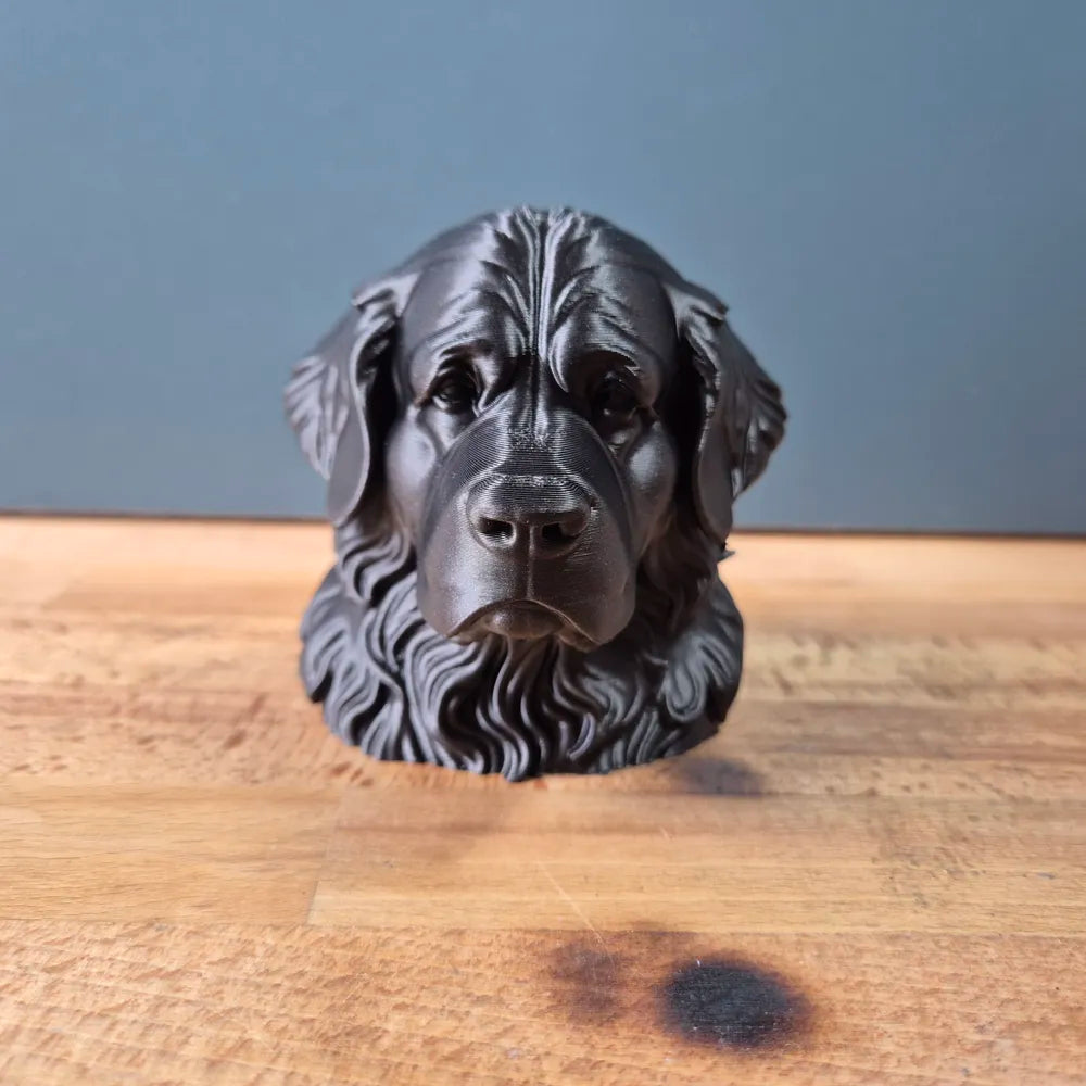 Newfoundland Bust