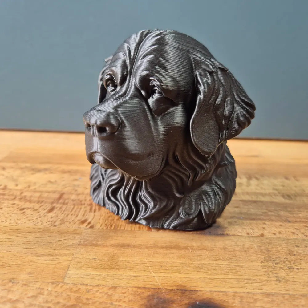 Newfoundland Bust