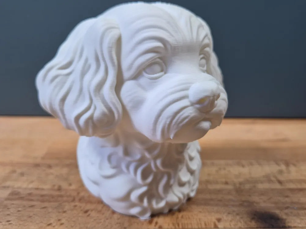 Peekapoo Bust