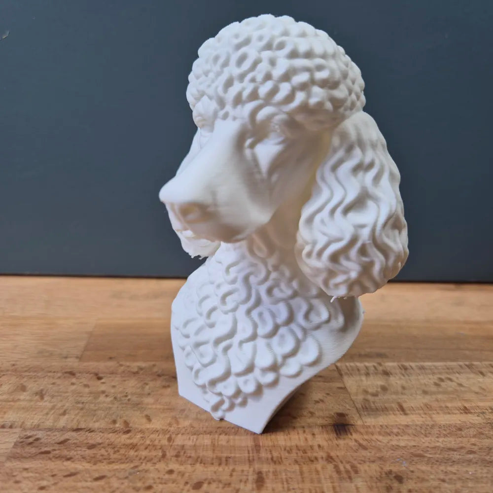 Poodle Bust