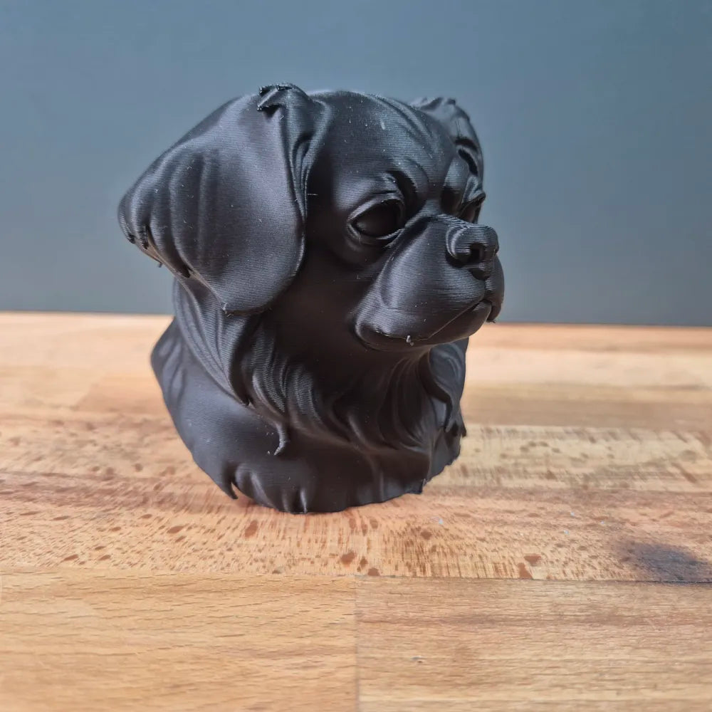 Tibetan Spaniel Bust