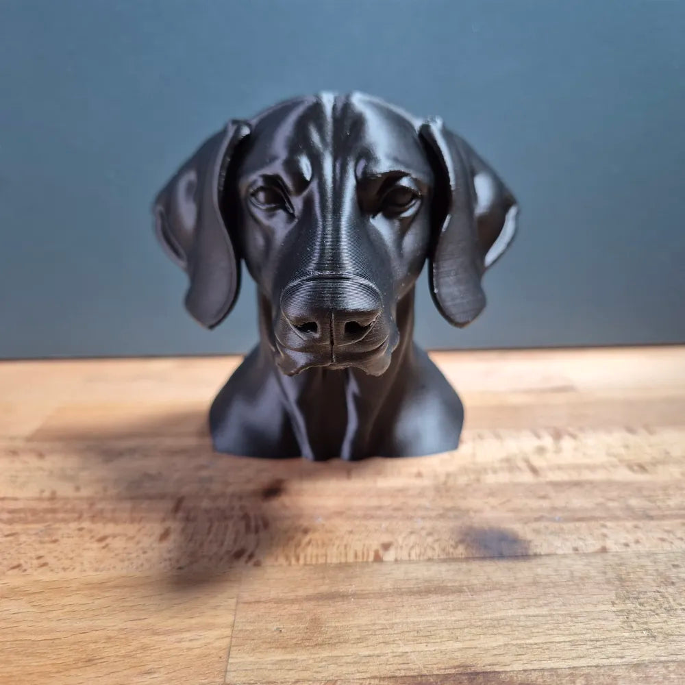 Weimaraner Bust