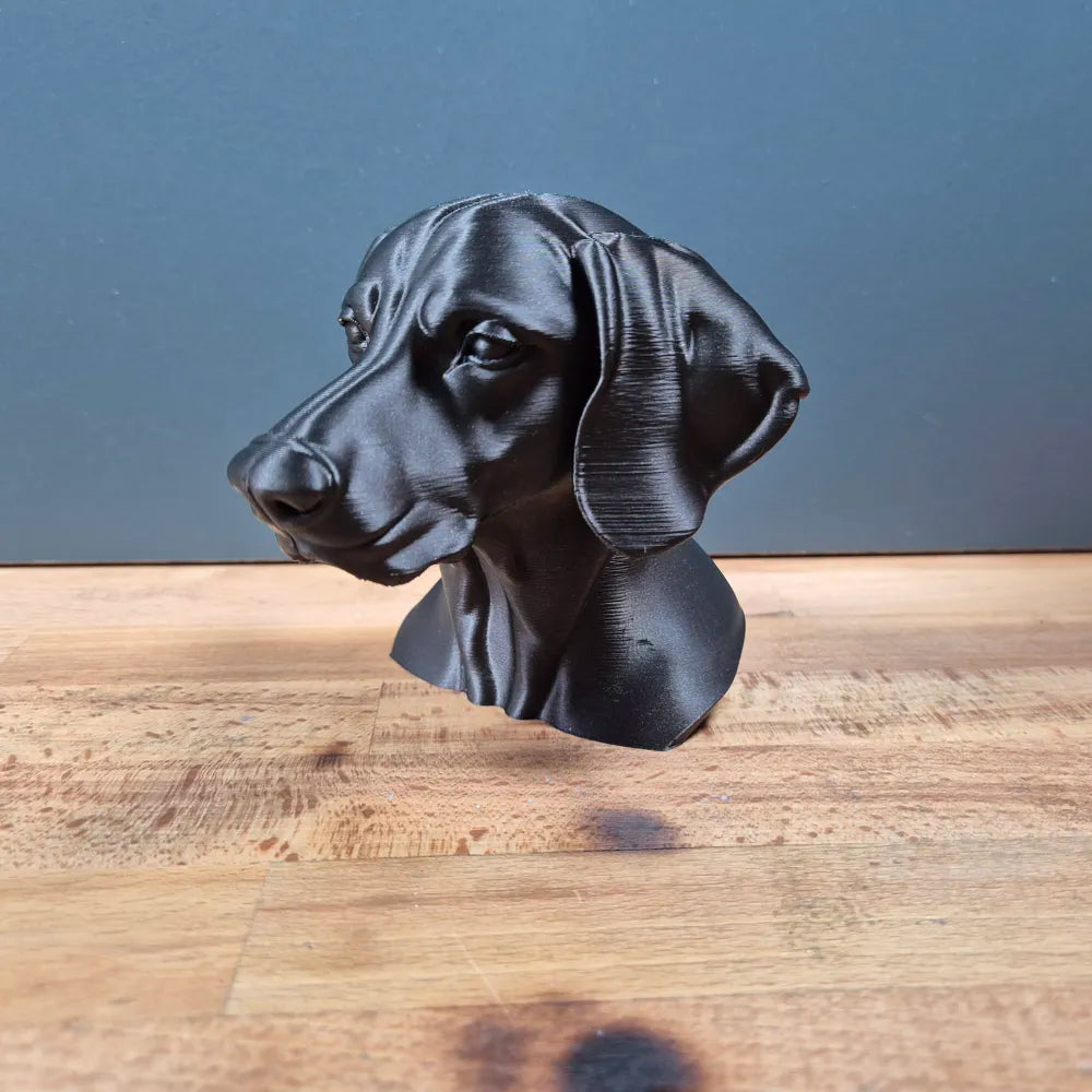 Weimaraner Bust