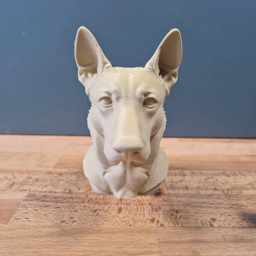 Belgian Malinois Bust