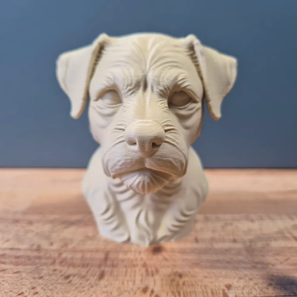 Border Terrier Bust