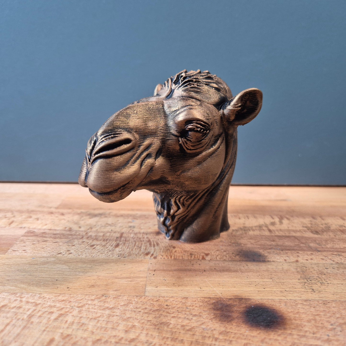 Camel Bust