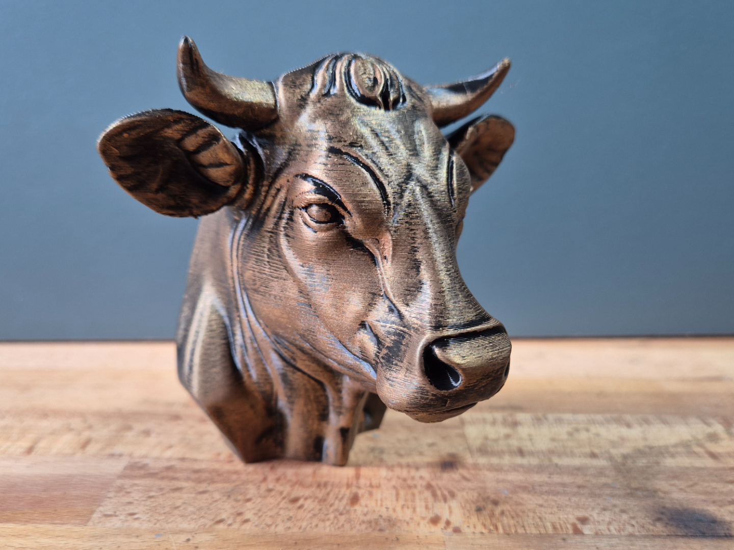 Cow Bust
