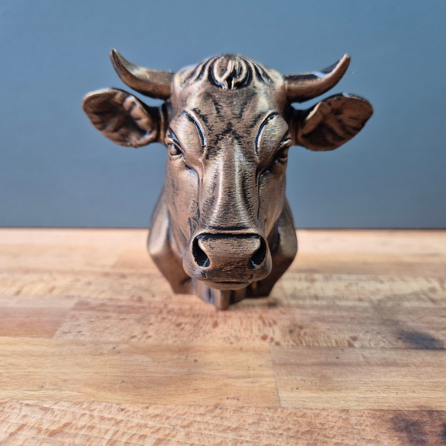 Cow Bust