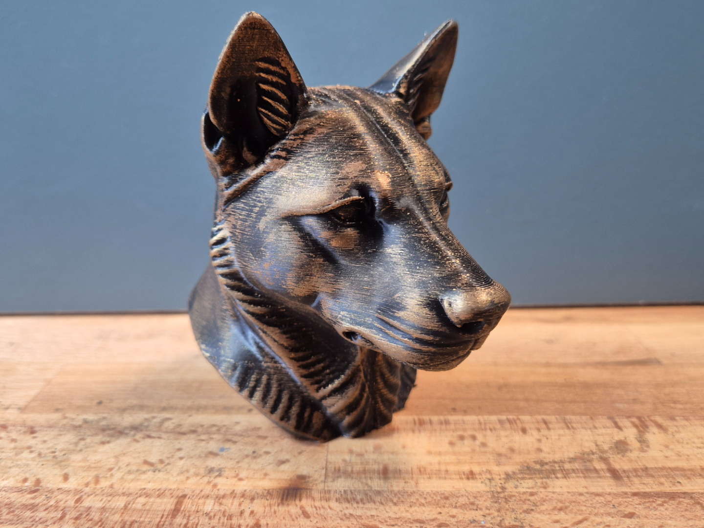 Dingo Bust