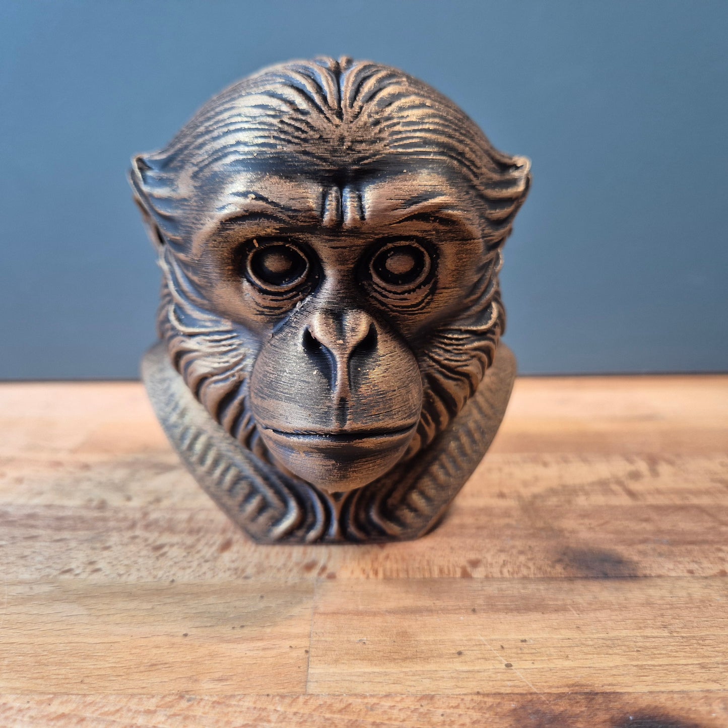 Gibbon Bust