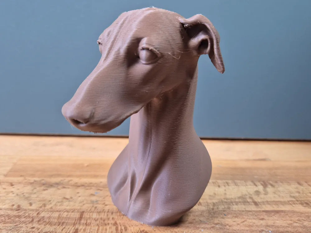 Greyhound Bust