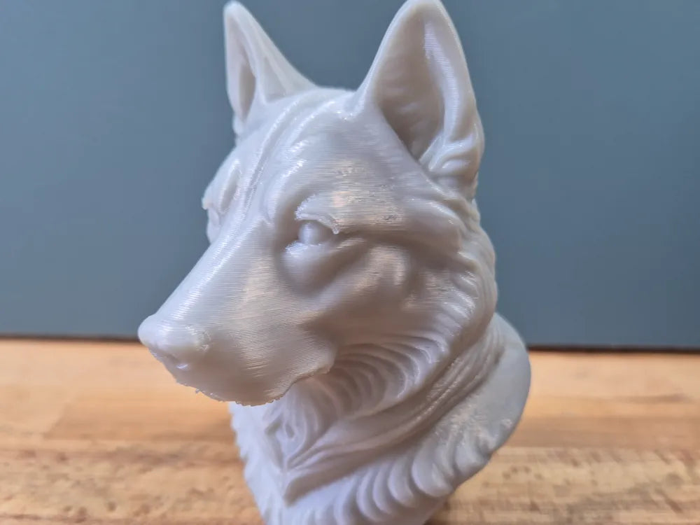Husky Bust